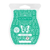 Jade & Jasmine Scentsy Wax Bar Melt