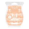 Lights Out Scentsy Bar