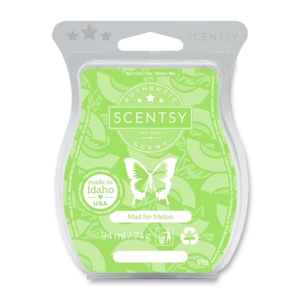 Mad for Melon Scentsy Bar