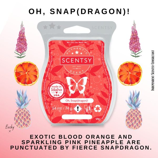 Oh, Snap (dragon)! Scentsy Bar