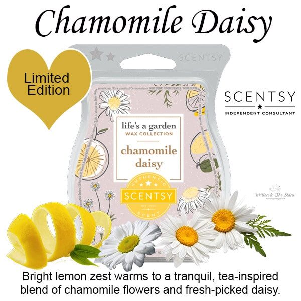 Chamomile Daisy Scentsy Wax Bar