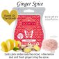 Ginger Spice Scentsy Bar