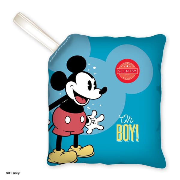 Oh Boy! - Scentsy Scent Pak