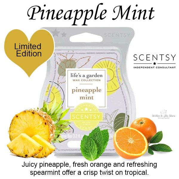 Pineapple Mint Scentsy Wax Bar