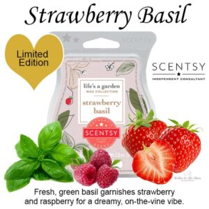 Strawberry Basil Scentsy Wax Bar