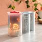 Cast – Pink Scentsy Warmer with Spring Pack