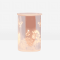 Cast – Pink Scentsy Warmer with Spring Pack