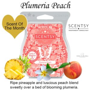 Plumeria Peach Scentsy Bar