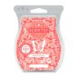 Plumeria Peach Scentsy Bar