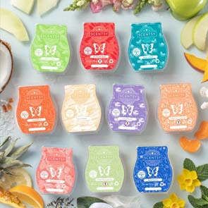 Scentsy UK Wax Bars