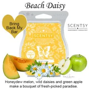 Beach Daisy BBMB