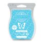 Blue Agave & Melon Scentsy Bar