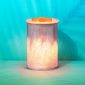 Pink Palm Scentsy Warmer