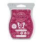 Blackberry Sandalwood Scentsy Bar