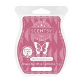 Cashmere & Corduroy Scentsy Wax Bar Melt