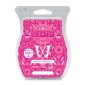 Cheerful Celebration Scentsy Bar