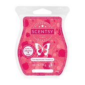 Pomegranate Prosecco Scentsy Wax Bar Melt