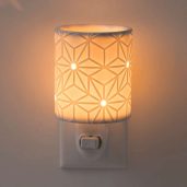 Salerno Scentsy Plugin Mini Warmer Dark Setting