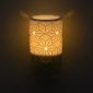 Salerno Scentsy Plugin Mini Warmer