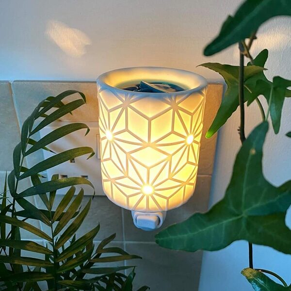 Hedwig™ Harry Potter™ Scentsy Plugin Mini Warmer with Wall Plug - The Candle  Boutique - Scentsy UK Consultant