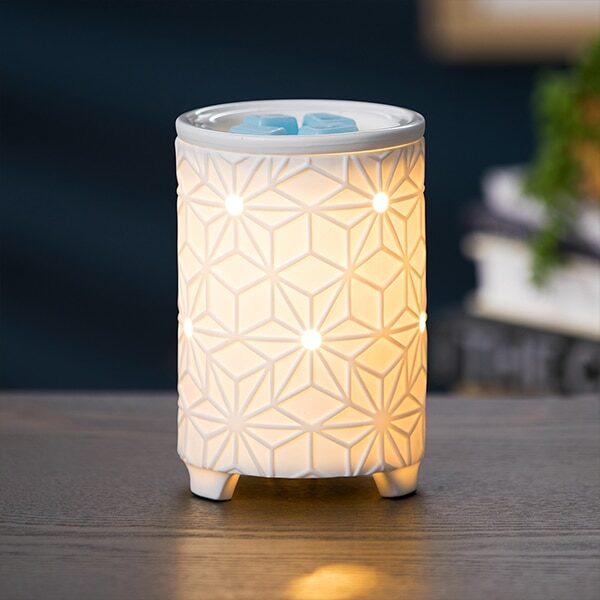 Salerno Scentsy Warmer