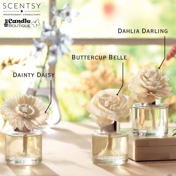 Scentsy Fragrance Flower Designs For 2024