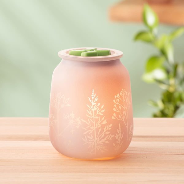 Thyme After Thyme Scentsy UK Warmer