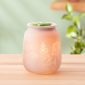 Thyme After Thyme Scentsy UK Warmer