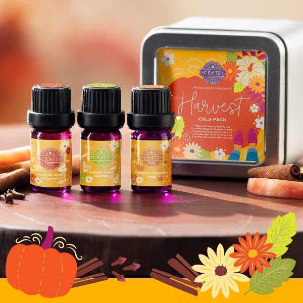 Harvest Scentsy Oil 3-Pack Styled
