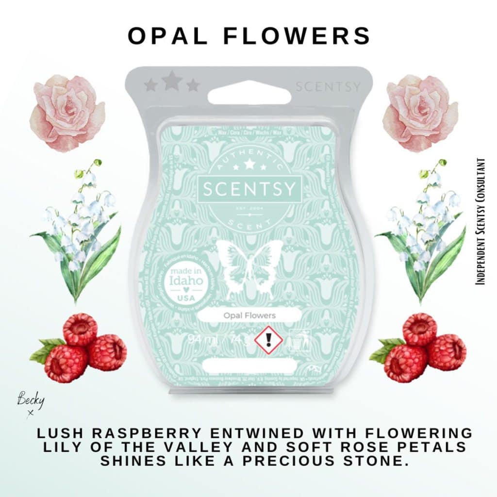 Luna Scentsy Pod Twin Pack The Candle Boutique Scentsy UK Consultant