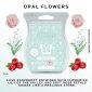 Opal Flowers Scentsy Bar