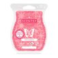 Pink Poinsettia Scentsy Bar