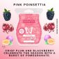 Pink Poinsettia Scentsy Bar