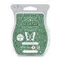 Icicles & Evergreen Scentsy Bar