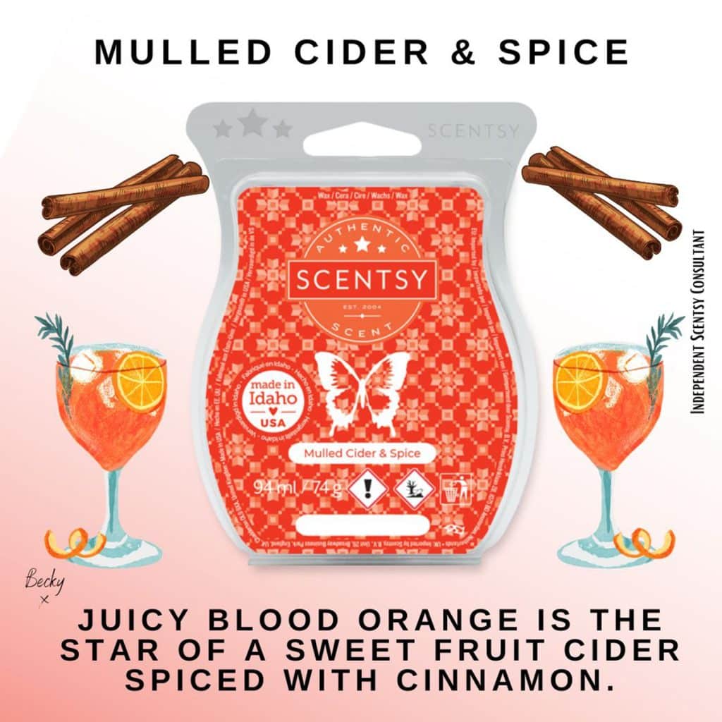 Mulled Cider & Spice Scentsy Bar The Candle Boutique Scentsy UK