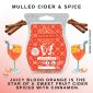 Mulled Cider & Spice Scentsy Bar