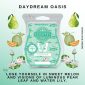 Daydream Oasis Scentsy Bar