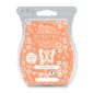 Paradise Petals Scentsy Bar