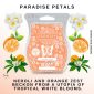 Paradise Petals Scentsy Bar