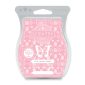 Pink Lemon Water Scentsy Bar