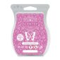 Summer Moonlight Scentsy Bar