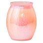 Summer Rain Scentsy Warmer