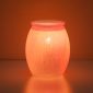 Summer Rain Scentsy Warmer Dark Setting