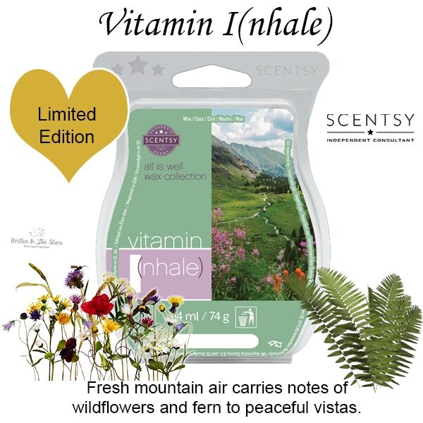 Vitamin I(nhale) Scentsy Bar