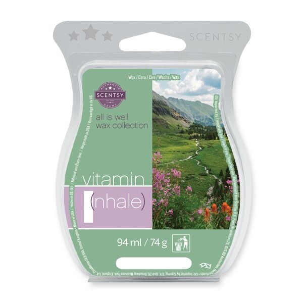 Vitamin I(nhale) Scentsy Bar