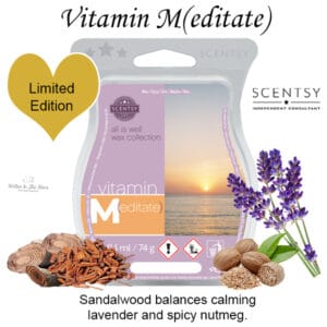 Vitamin M(editate) Scentsy Bar
