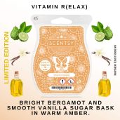 Vitamin R(elax) Scentsy Wax Bar