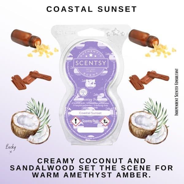 Coastal Sunset Scentsy Pod Twin Pack