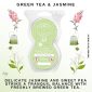Green Tea & Jasmine Scentsy Pod Twin Pack