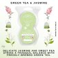 Green Tea & Jasmine Scentsy Pod Twin Pack